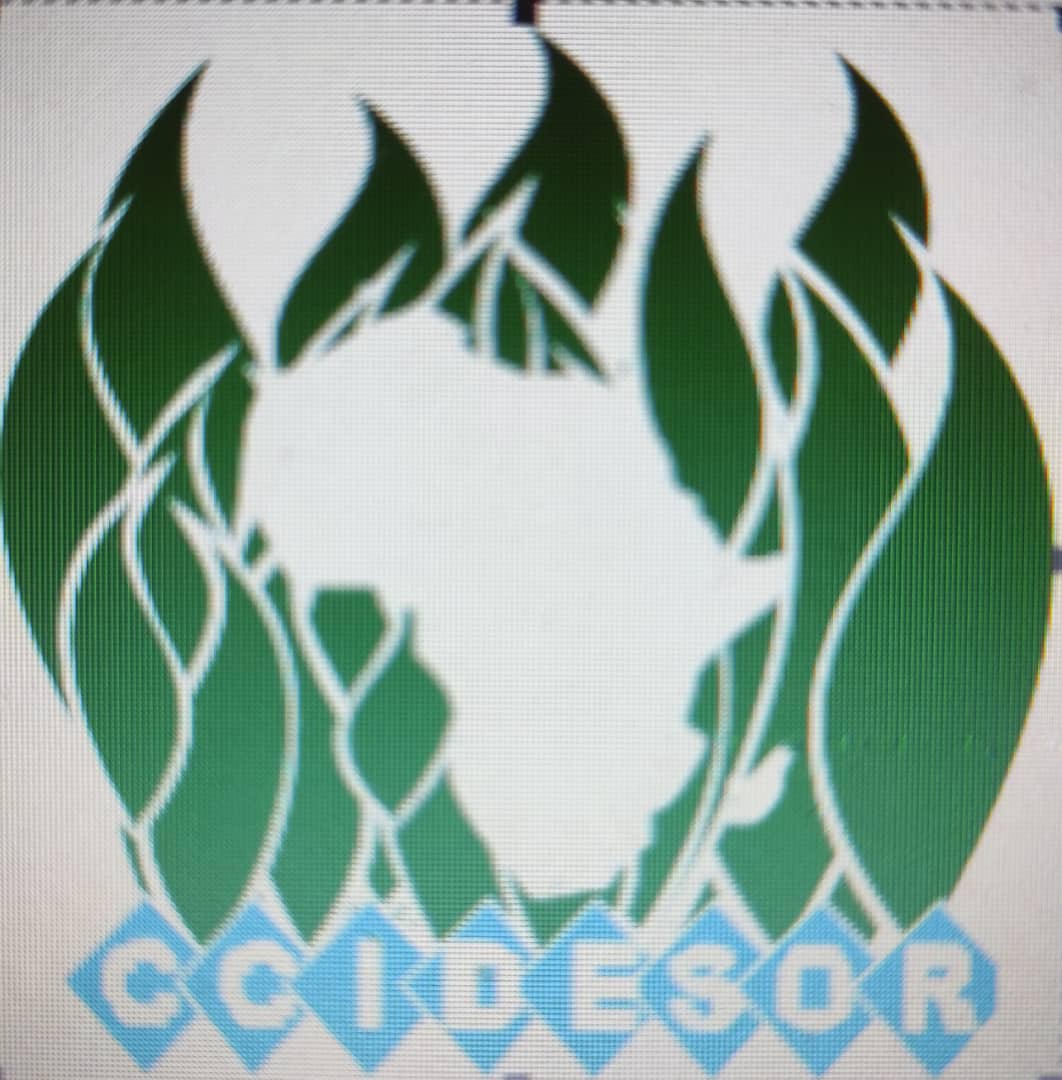 CCIDESOR Logo